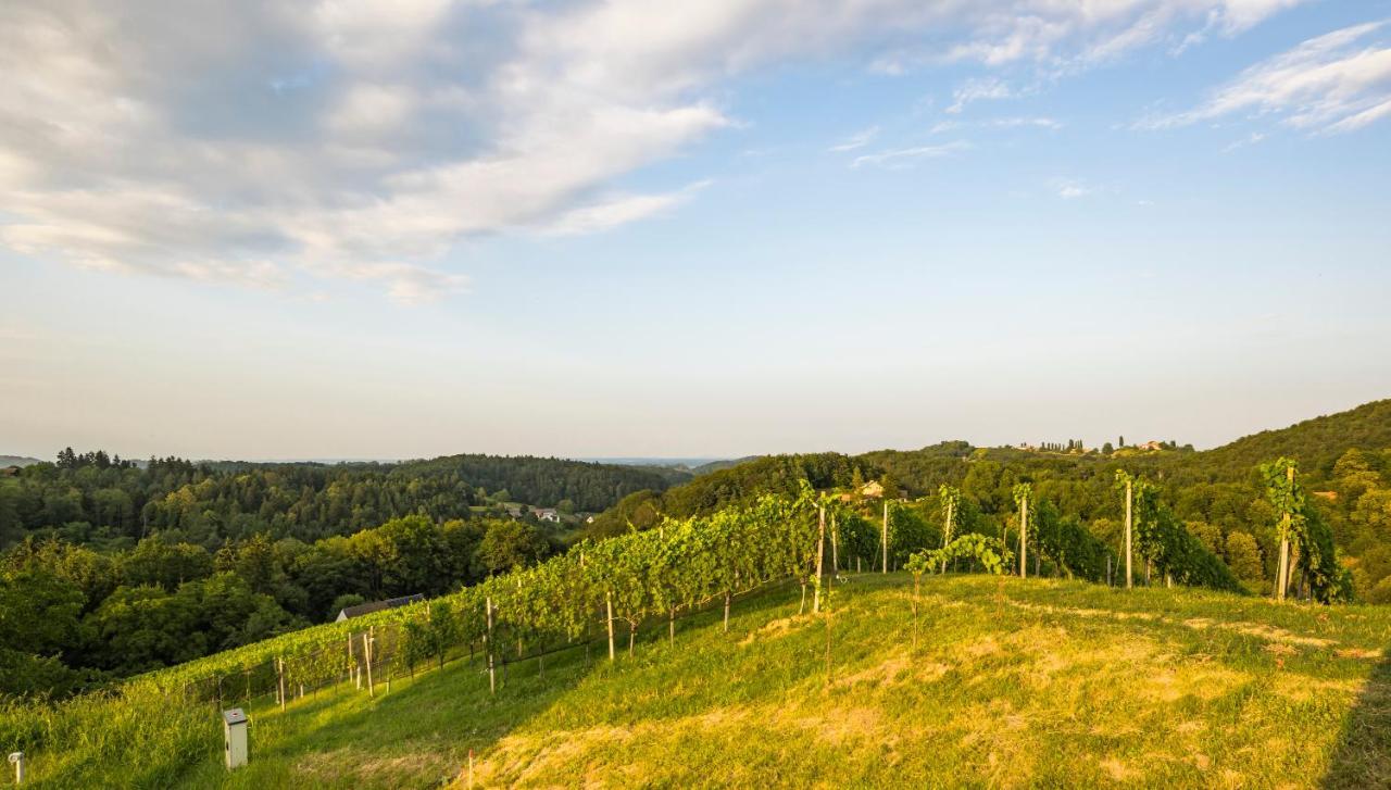 Weinzeit Chalets กัมลิทซ์ ภายนอก รูปภาพ